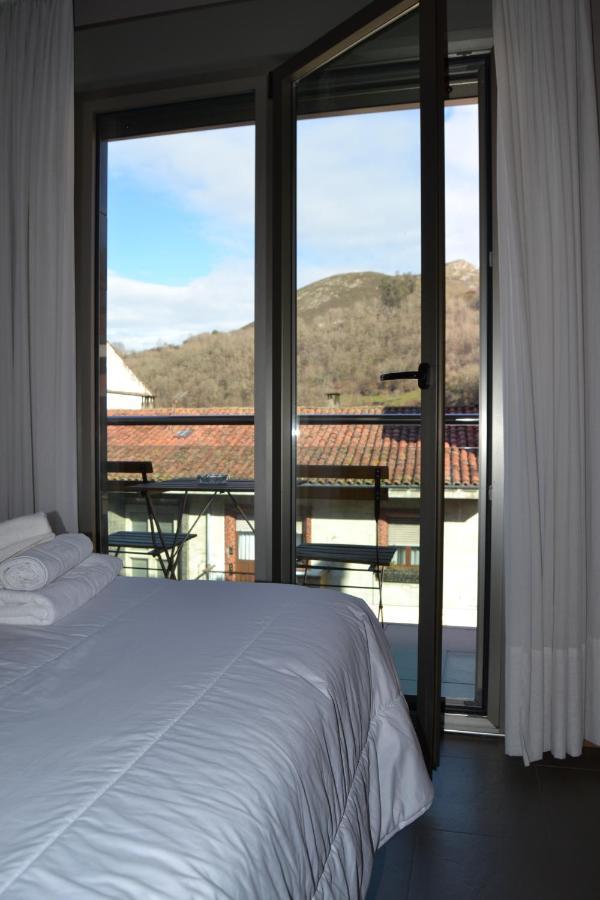 Apartamentos Spa Cueto Cangas de Onis Exterior photo